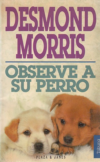 OBSERVE A SU PERRO   