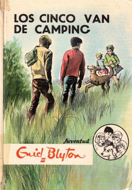 LOS CINCO VAN DE CAMPING