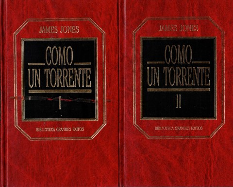 COMO UN TORRENTE (2 TOMOS)